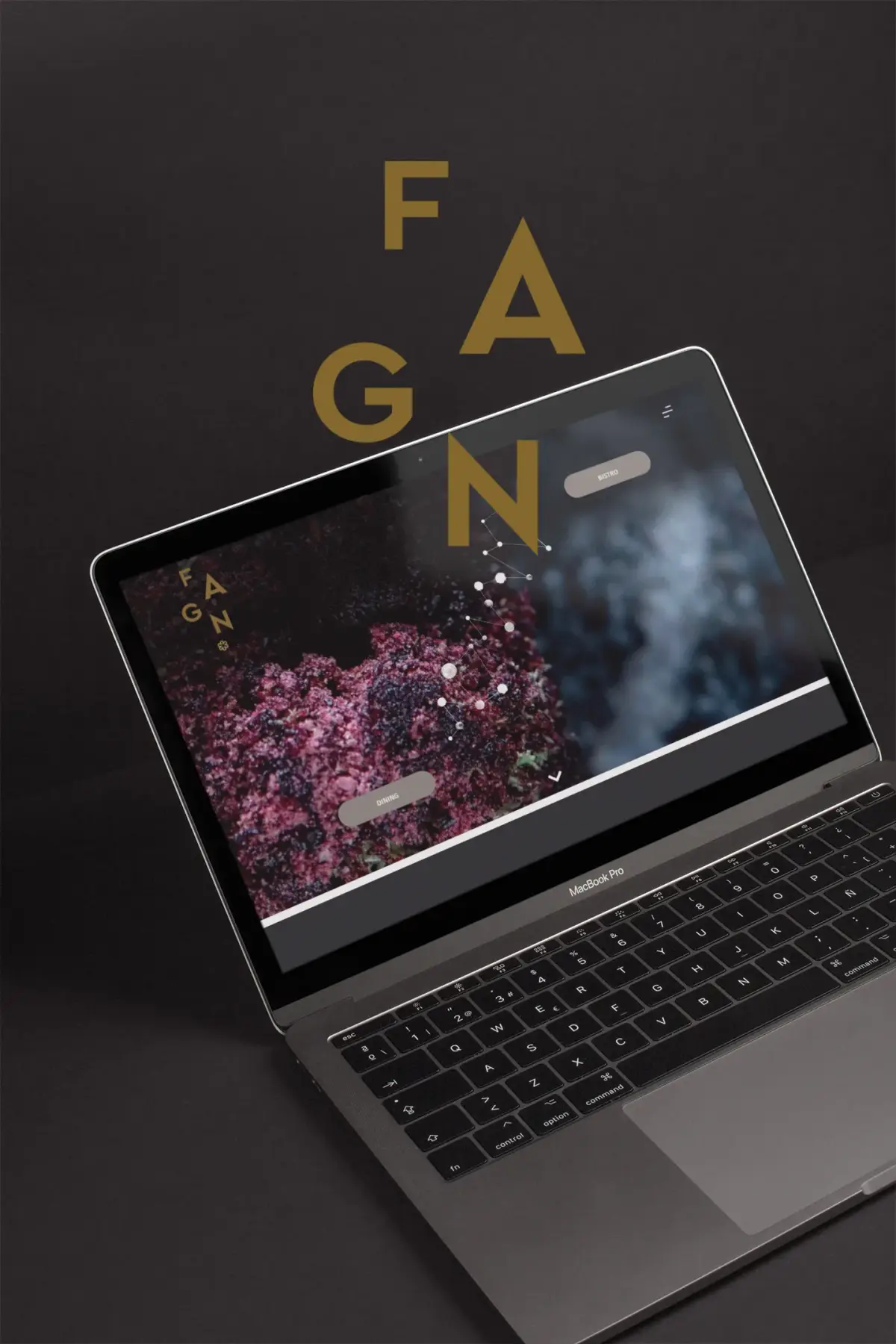 Fagn – nettside